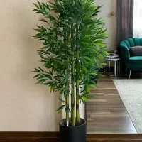 درختچه  بامبو مصنوعی قد ۱۵۰ سانتی|گل مصنوعی|زابل, |دیوار