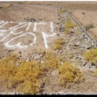 زمین ۲۲۰متری کارگاهی|فروش زمین و ملک کلنگی|دزفول, |دیوار