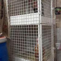قفس مرغ و خروس ۲ طبقه  ۳/۵۵۰/۰۰۰