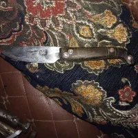 چاقو هاشمی دسته شاخ