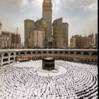 فروش دو عدد فیش حج تمتع|تور و چارتر|کرمان, |دیوار
