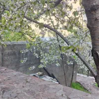 خانه باغ|فروش خانه و ویلا|آبگرم, |دیوار