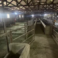 اجاره سالن و سوله