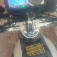 مجسمه خشک