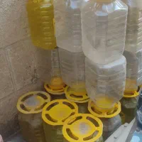 دبه ترشی زیتون و خیار شور در فلکه ای و دبه ای|ظروف نگهدارنده، پلاستیکی، یک‌بارمصرف|تهران, سلسبیل جنوبی|دیوار