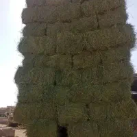 فروش یونجه تحویل درب انبار شما