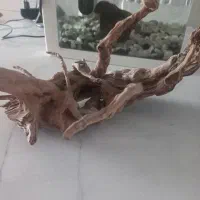 ابنوس اکواریوم|لوازم جانبی حیوانات|اسلامشهر, شهرک واوان|دیوار