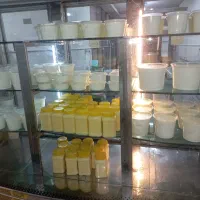 کار در لبنیات