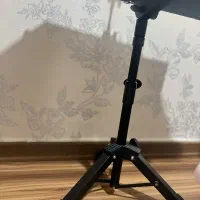 سنتور موسوی بسیار تمیز و نو|سازهای سنتی|هشتگرد, شهرک ولیعصر (مصلی)|دیوار