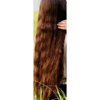 مو طبیعی بور و زیتونی بدون هیچ رنگی