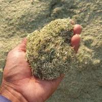 کاه یونجه