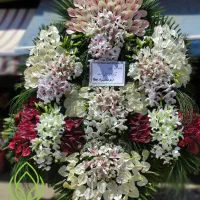 راحیل مجموعه پخش تاج سراسر شهر مطابق تصویر وظرافت