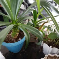 فروش آپارتمان دوخوابه