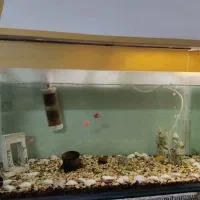 آکواریوم 30*85