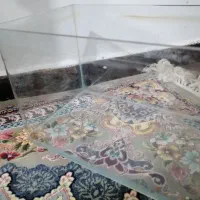 اکواریوم شرکتی شیشه خم