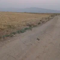 اجاره-زمین-کشاورزی