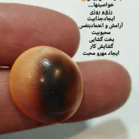 مهره ی شاه کبرای هندی