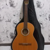 گیتار پارسی parsi m5