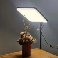 2 عدد سافت لایت رینگ لایت