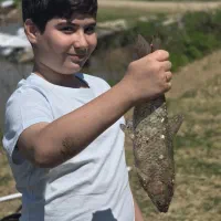 آموزش ماهیگیری اجاره تجهیزات