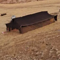 سیاه چادر