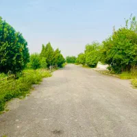 خانه ویلایی و باغچه ۳۴۰ متری طغان ورامین