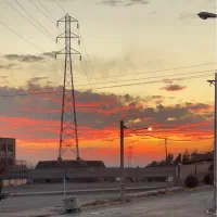 فاز-2-سند-تک-برگ-پارکینگ