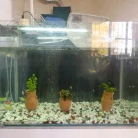اکواریوم با وسایل