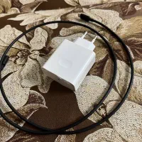 شارژر داریا باند