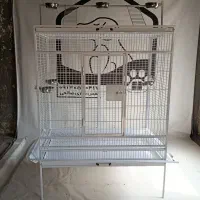 لانه بزرگ پرنده کاسکو آرا