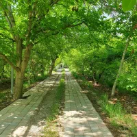 کردان-جنوبی-سهیلیه-باغ-ویلا-500-متر