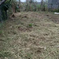 فروش زمین شهری رودبنه مسکونی(( با پروانه))|فروش زمین و ملک کلنگی|رودبنه, |دیوار