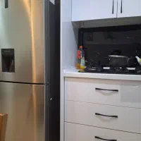 هم-خونه-خانم-سن-40-سال