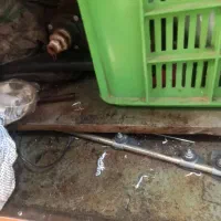 اجاق گاز فردار 4 شعله|اجاق گاز و لوازم برقی پختوپز|تهران, عبدلآباد|دیوار