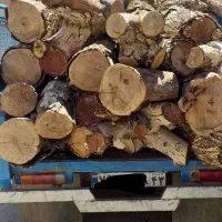 خرید و بورش انواع چوب و تخریب ساختمان چوبی