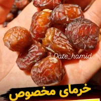 بهترین رطب و خرمای خشت|خوردنی و آشامیدنی|شیراز, فرهنگ شهر|دیوار