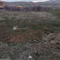 فروش ۲۹۰۰ متر زمین کشاورزی دیم