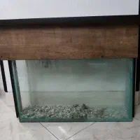 آکواریوم|ماهی|شیراز, پودنک|دیوار