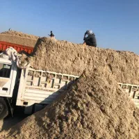 کاه نیشکر باگاس خوراک دام|لوازم جانبی حیوانات|سمنان, |دیوار