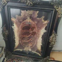 میز تلویزیون|میز تلویزیون|قم, علی آباد|دیوار