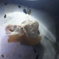 سنگ قیمتی|جواهرات|لاهیجان, حاجی آباد|دیوار