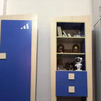 کمد|کتابخانه، شلف، قفسه‌های دیواری|بندرعباس, |دیوار