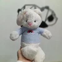 عروسک خرگوش رنگین کمانی|اسباببازی|بروجرد, |دیوار