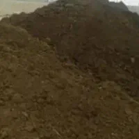 فروش کودحیوانی