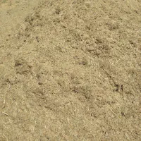 علف چار زمین