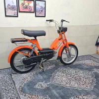 براوو مشابه خشک