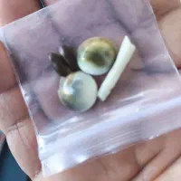 مهرهای قدیمی|جواهرات|شوش, |دیوار