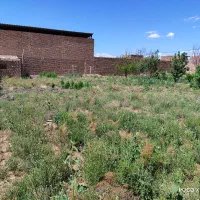 فروش خانه ویلایی|فروش خانه و ویلا|بوئین زهرا, |دیوار