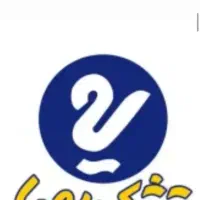 تشک رویا طبی فنری 160x200