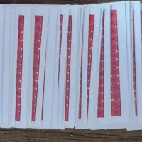 جا کلیدی پاسور